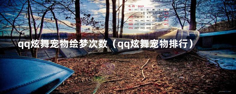 qq炫舞宠物绘梦次数（qq炫舞宠物排行）