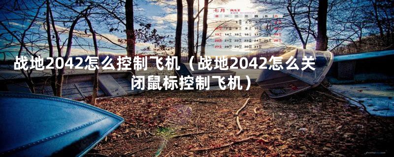 战地2042怎么控制飞机（战地2042怎么关闭鼠标控制飞机）