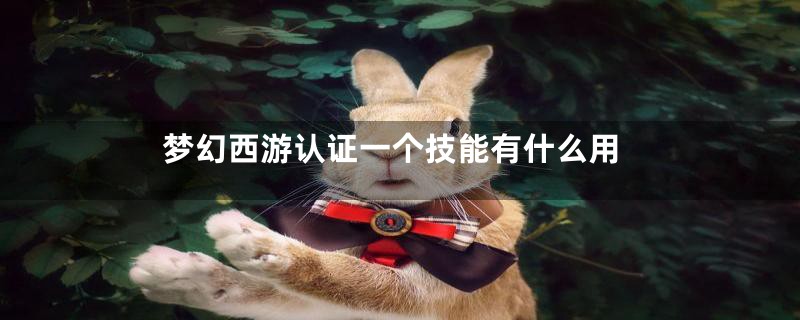 梦幻西游认证一个技能有什么用