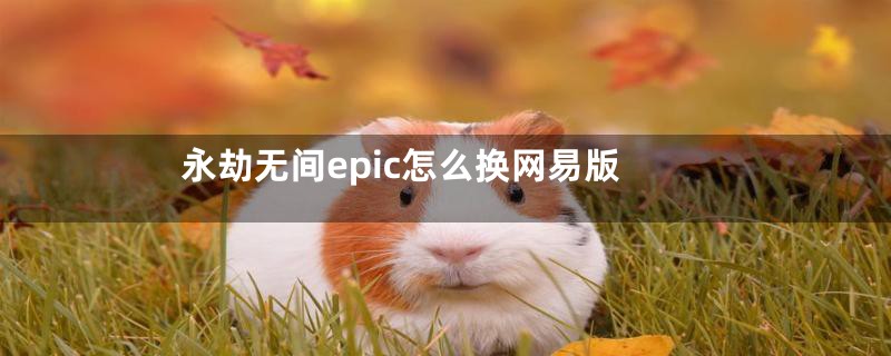 永劫无间epic怎么换网易版