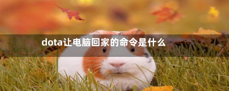 dota让电脑回家的命令是什么