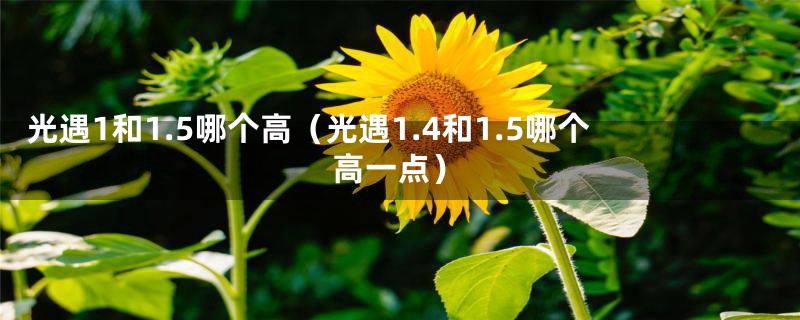 光遇1和1.5哪个高（光遇1.4和1.5哪个高一点）