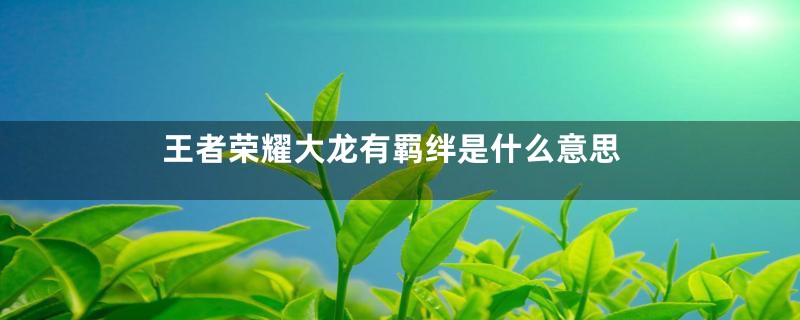 王者荣耀大龙有羁绊是什么意思