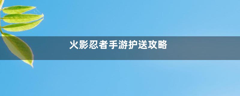 火影忍者手游护送攻略