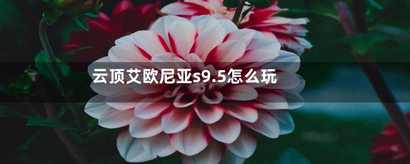 云顶艾欧尼亚s9.5怎么玩