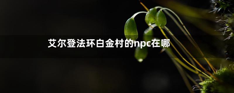 艾尔登法环白金村的npc在哪