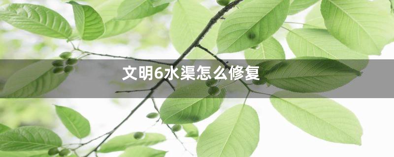 文明6水渠怎么修复