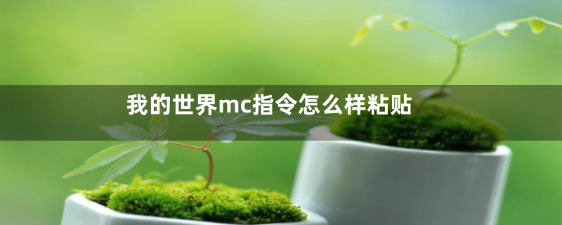 我的世界mc指令怎么样粘贴