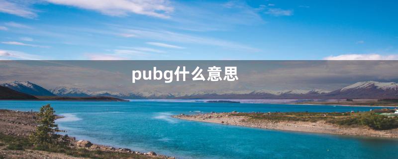 pubg什么意思