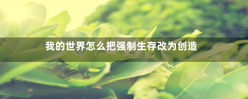 我的世界怎么把强制生存改为创造