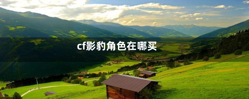 cf影豹角色在哪买