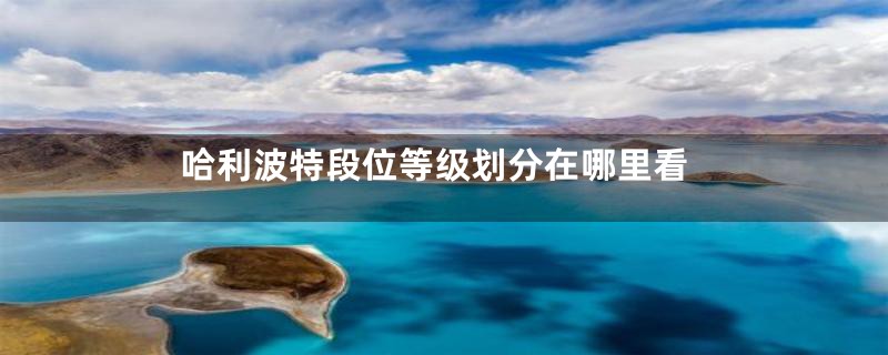 哈利波特段位等级划分在哪里看