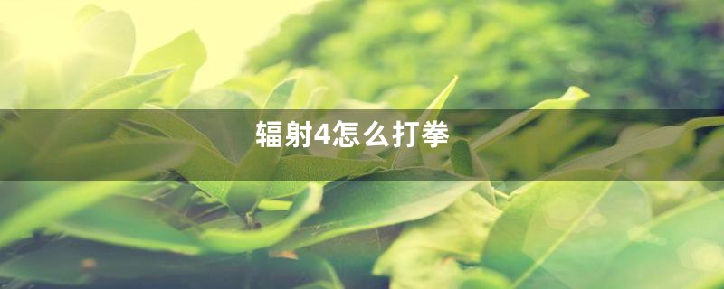 辐射4怎么打拳