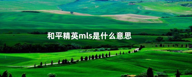 和平精英mls是什么意思