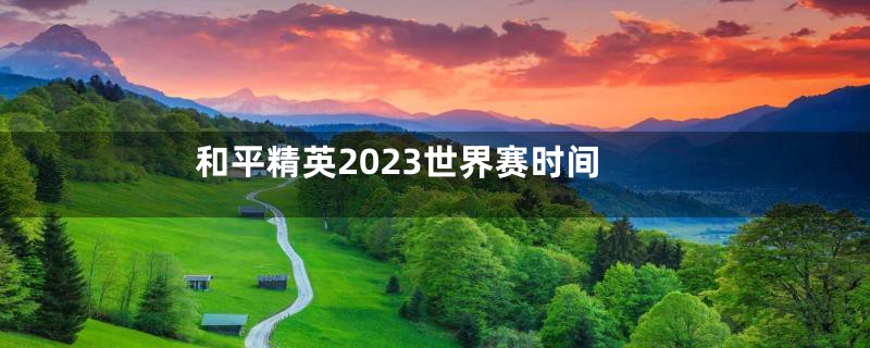 和平精英2023世界赛时间