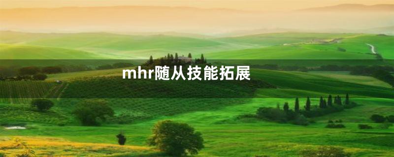 mhr随从技能拓展