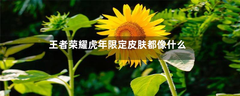 王者荣耀虎年限定皮肤都像什么