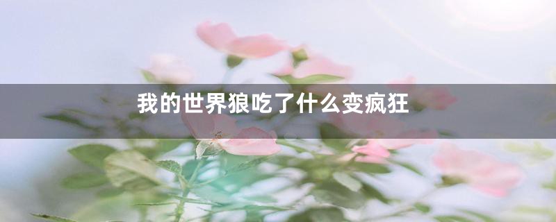 我的世界狼吃了什么变疯狂