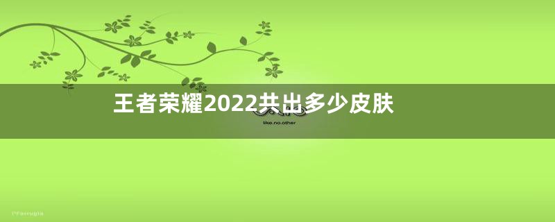 王者荣耀2022共出多少皮肤