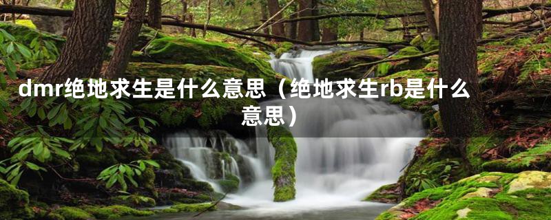 dmr绝地求生是什么意思（绝地求生rb是什么意思）