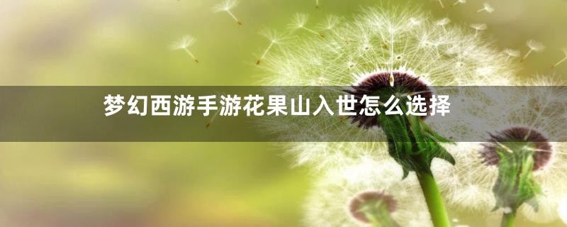 梦幻西游手游花果山入世怎么选择