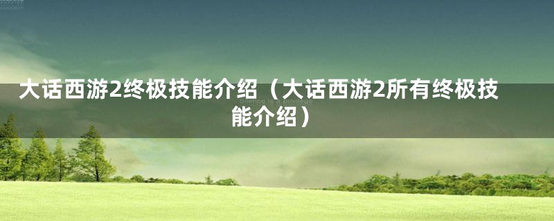 大话西游2终极技能介绍（大话西游2所有终极技能介绍）