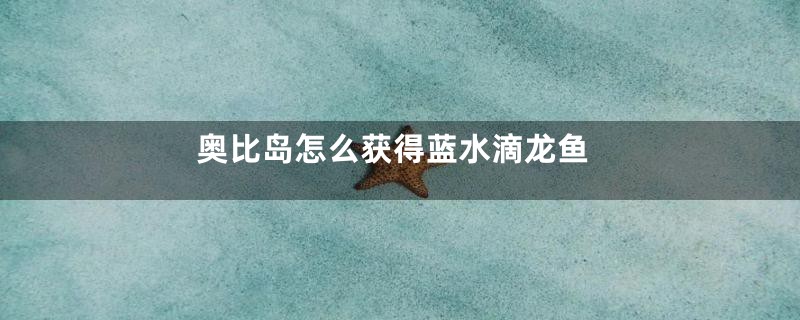 奥比岛怎么获得蓝水滴龙鱼