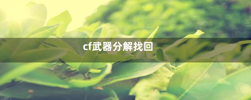 cf武器分解找回