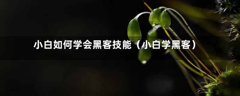 小白如何学会黑客技能（小白学黑客）