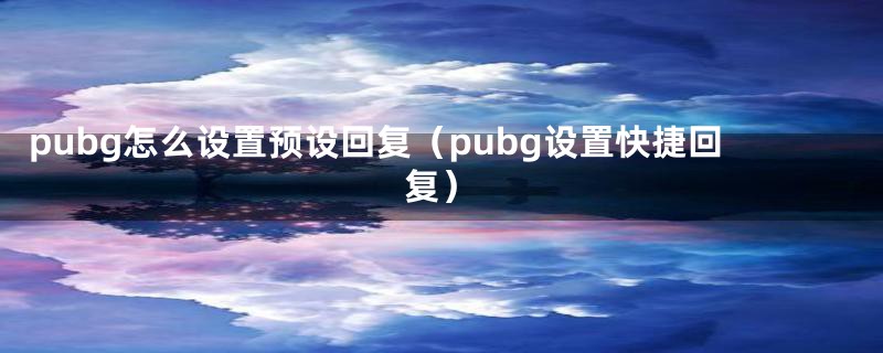 pubg怎么设置预设回复（pubg设置快捷回复）