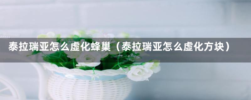 泰拉瑞亚怎么虚化蜂巢（泰拉瑞亚怎么虚化方块）