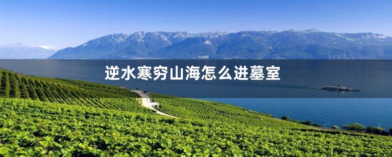 逆水寒穷山海怎么进墓室