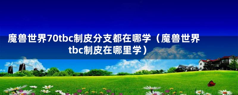 魔兽世界70tbc制皮分支都在哪学（魔兽世界tbc制皮在哪里学）