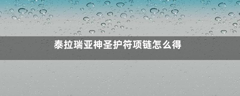 泰拉瑞亚神圣护符项链怎么得