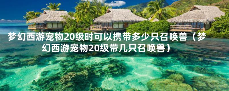 梦幻西游宠物20级时可以携带多少只召唤兽（梦幻西游宠物20级带几只召唤兽）