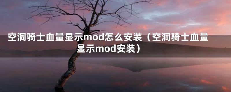 空洞骑士血量显示mod怎么安装（空洞骑士血量显示mod安装）