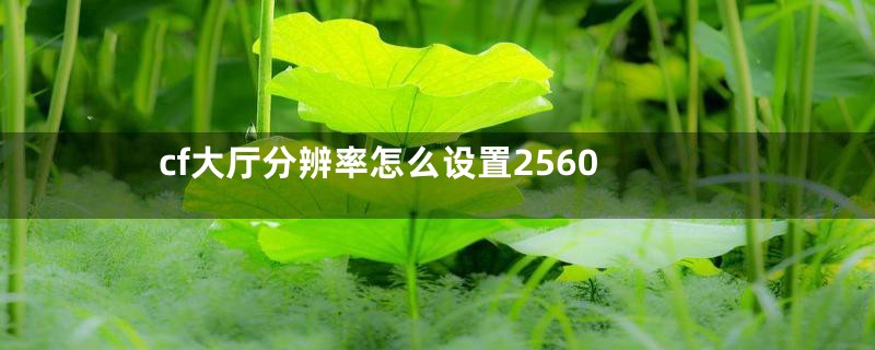 cf大厅分辨率怎么设置2560