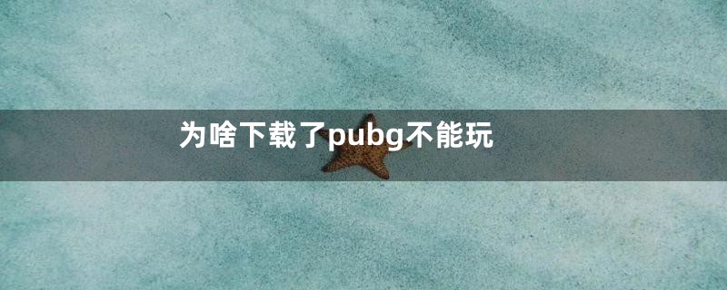 为啥下载了pubg不能玩