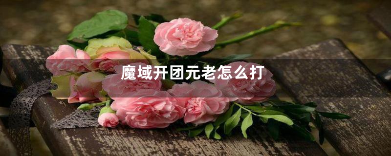 魔域开团元老怎么打