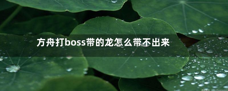 方舟打boss带的龙怎么带不出来