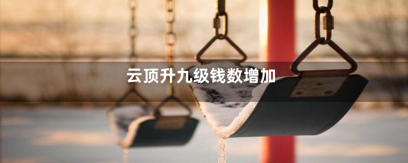 云顶升九级钱数增加