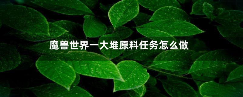 魔兽世界一大堆原料任务怎么做