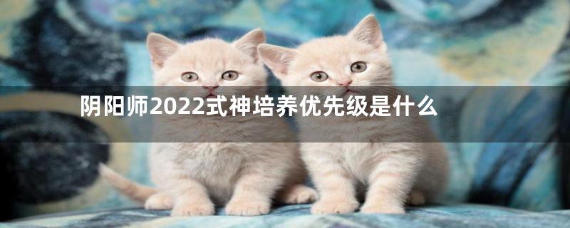 阴阳师2022式神培养优先级是什么