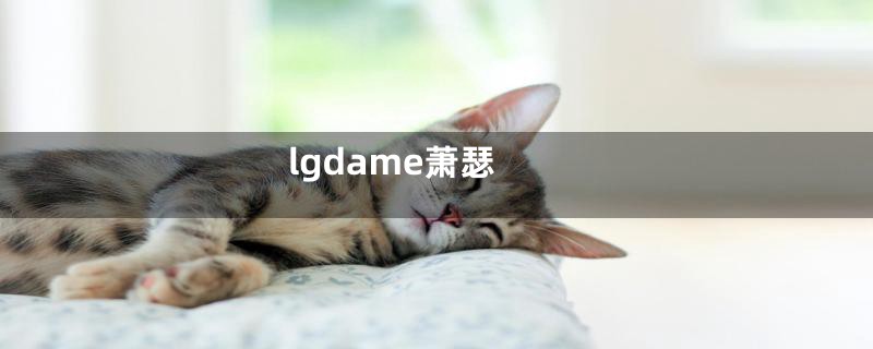 lgdame萧瑟