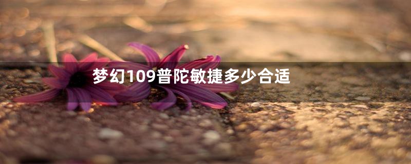 梦幻109普陀敏捷多少合适