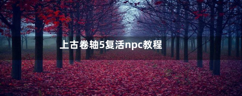 上古卷轴5复活npc教程