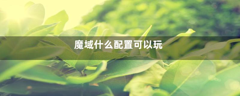 魔域什么配置可以玩