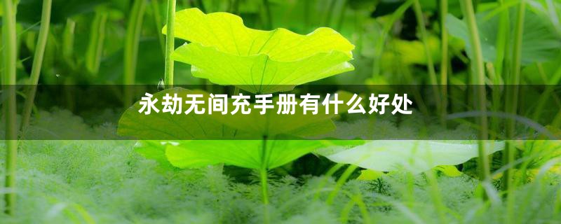 永劫无间充手册有什么好处