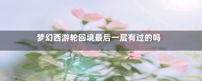 梦幻西游轮回境最后一层有过的吗