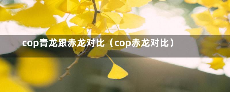 cop青龙跟赤龙对比（cop赤龙对比）